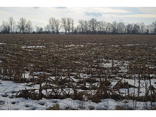 Property photo 21 - FARMLAND AUCTION, 60+/- Acres in 6 Tracts ranging from 4 to 20 acres & in combinations!